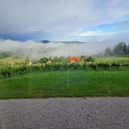 Pocitniska Hisa Parkfield Dragovan Metlika Exteriér fotografie